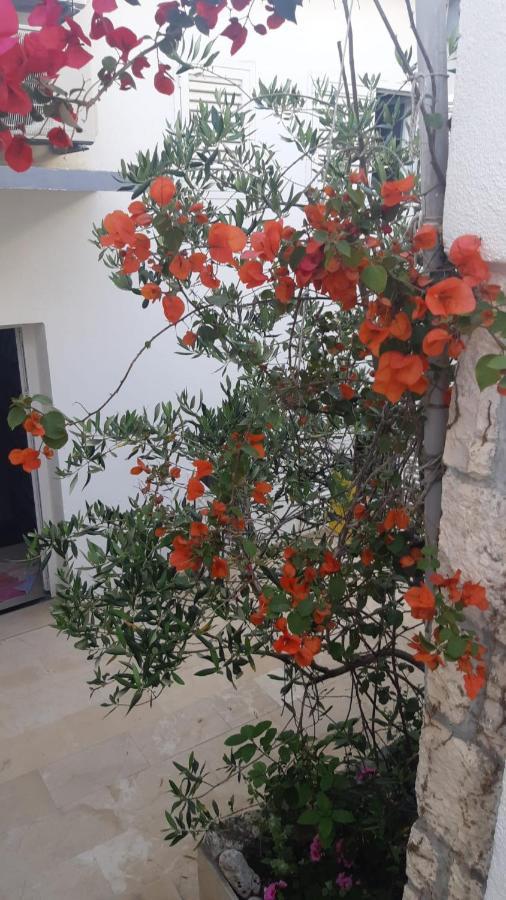 חוואר Hvar Deluxe Rooms מראה חיצוני תמונה